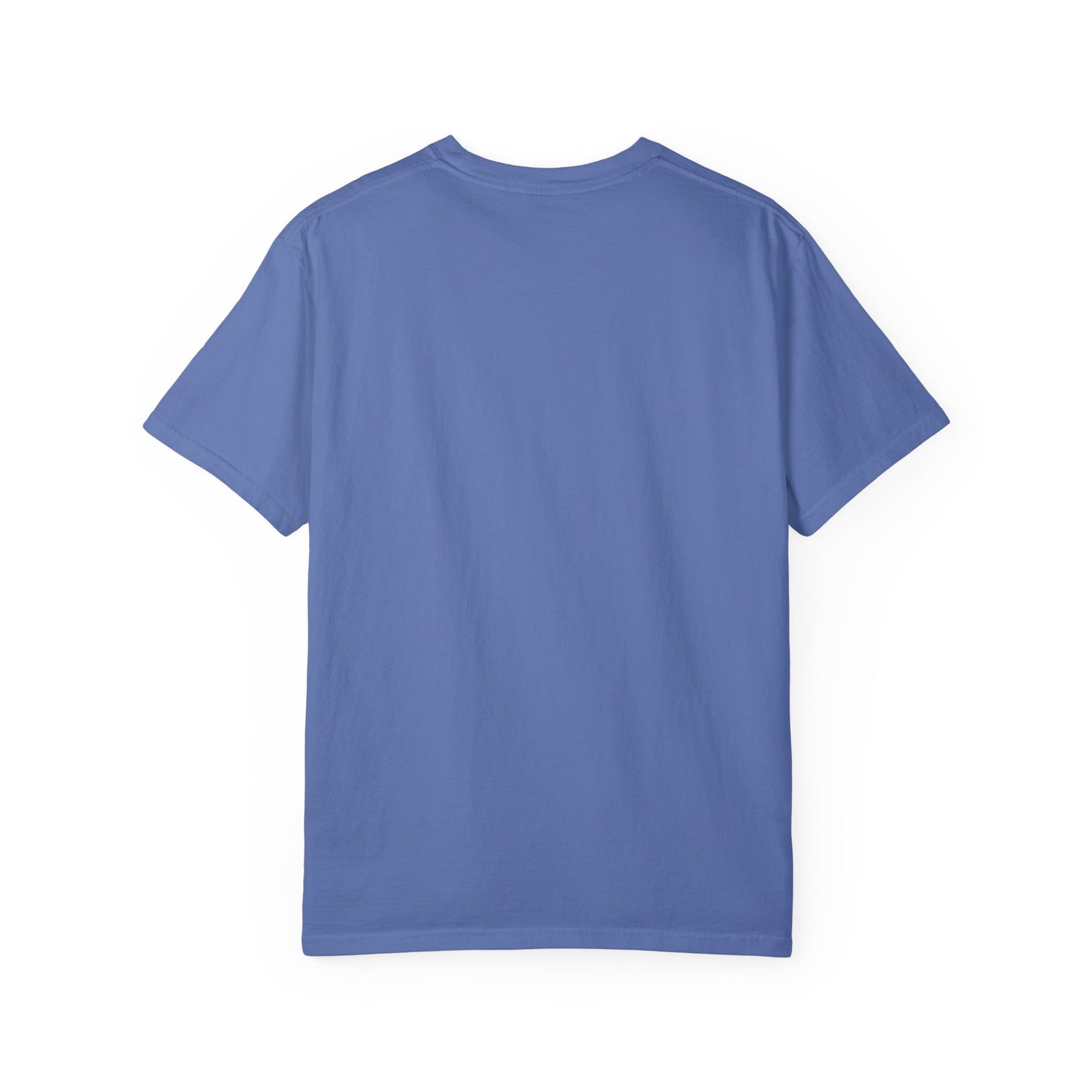 "Send Noods" Unisex Garment-Dyed T-shirt