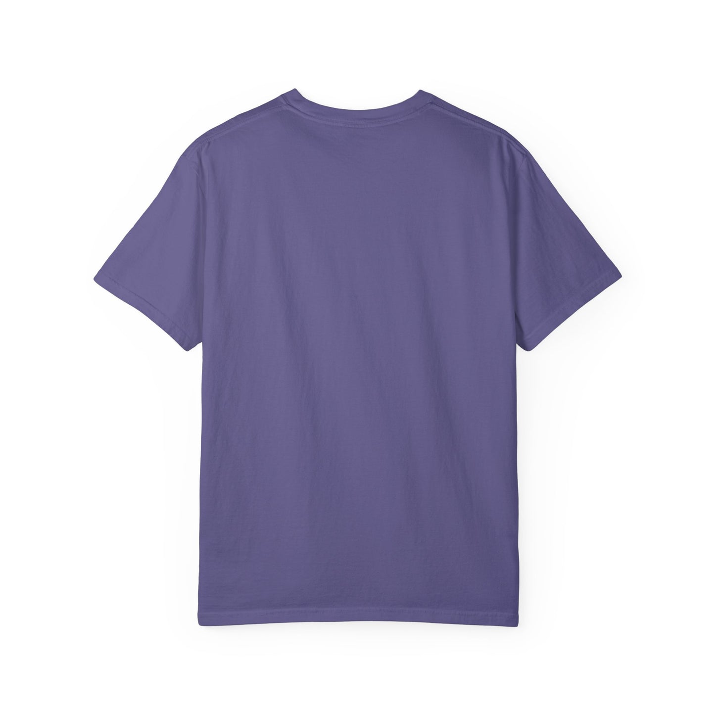 "Send Noods" Unisex Garment-Dyed T-shirt