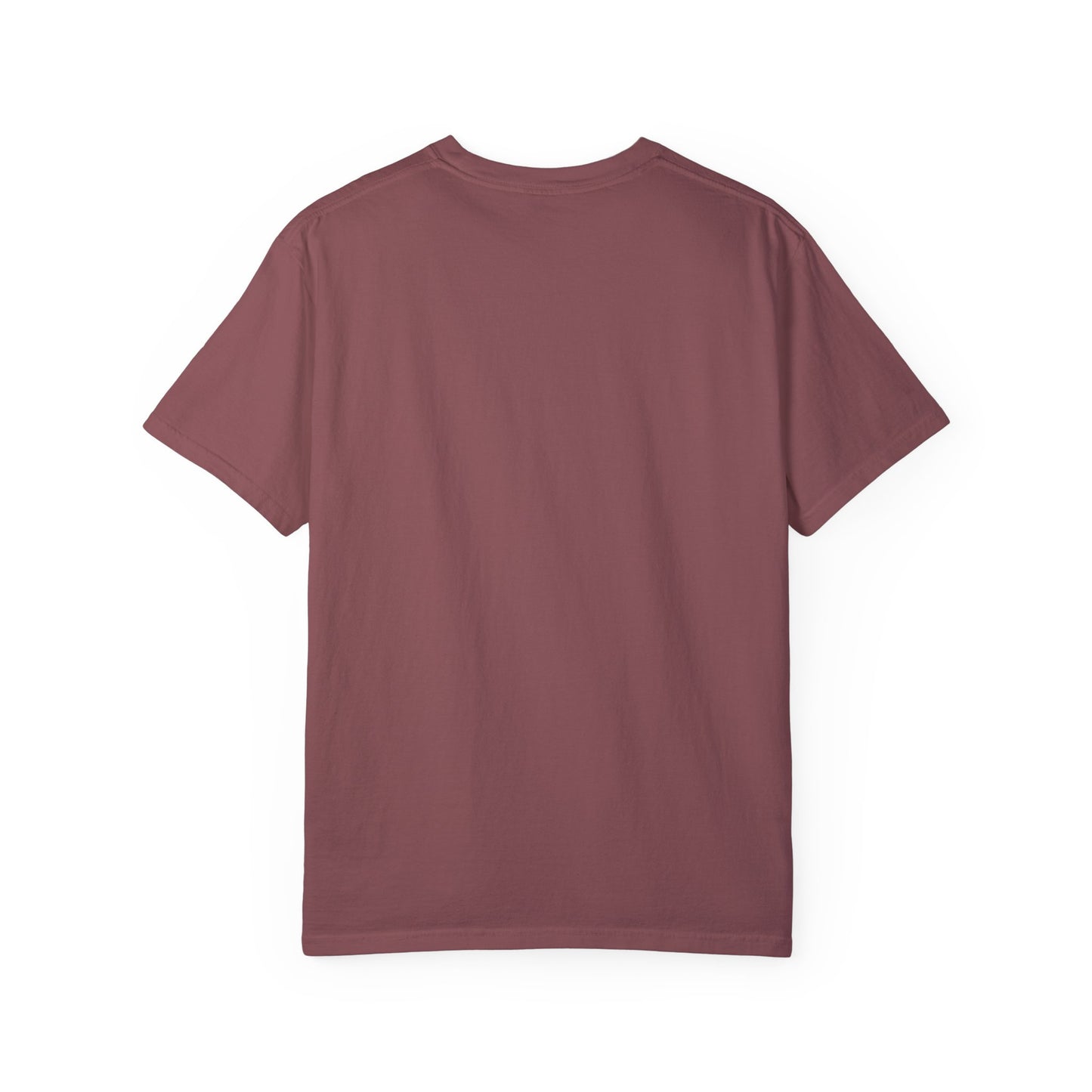"Send Noods" Unisex Garment-Dyed T-shirt