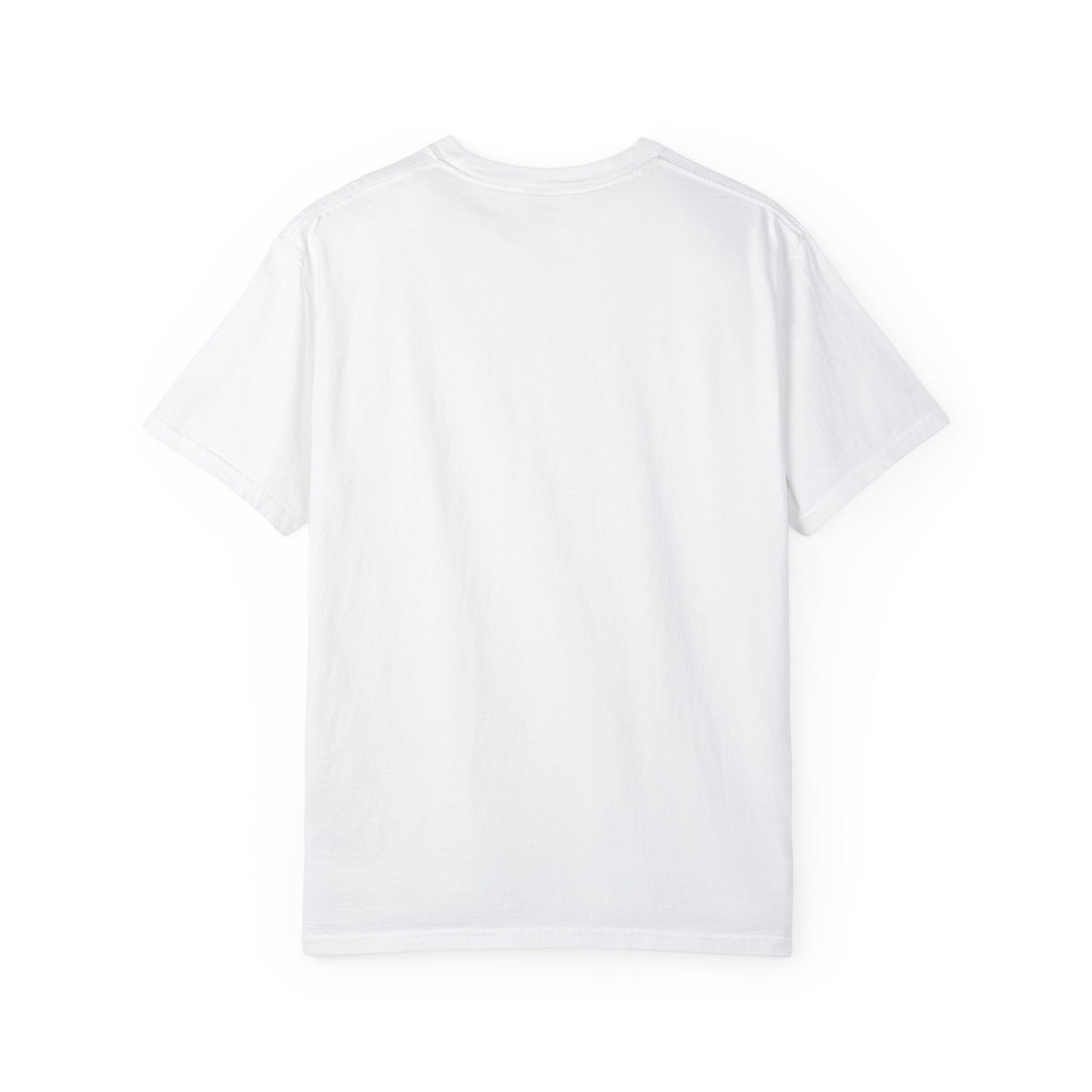 "Send Noods" Unisex Garment-Dyed T-shirt