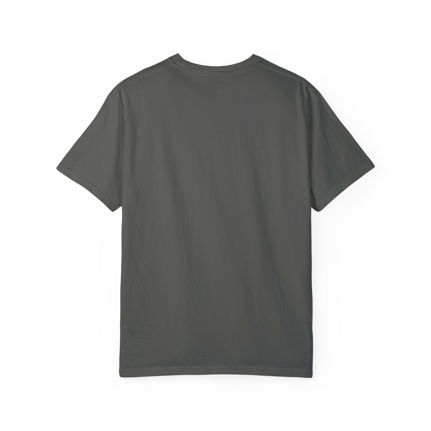"Send Noods" Unisex Garment-Dyed T-shirt